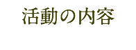 活動の内容